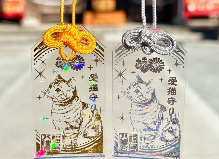 【愛貓御守】 美國短毛貓