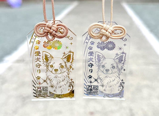 【愛犬御守】 吉娃娃